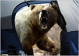 bear in tent.jpg