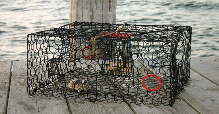 best-crab-traps.jpg