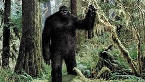 bigfoot.jpg