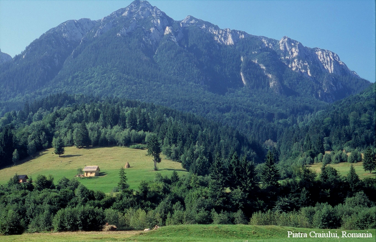 carpathian-mountains-view-piatra-craiului-national-park-romanian-landscape-eastern-european.jpg