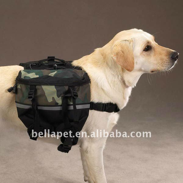 Dog_Carrying_Bag.jpg