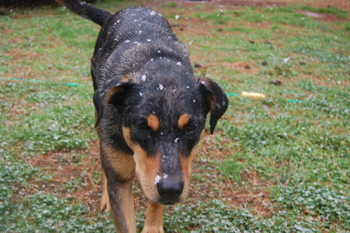 DSC_2215.JPG
