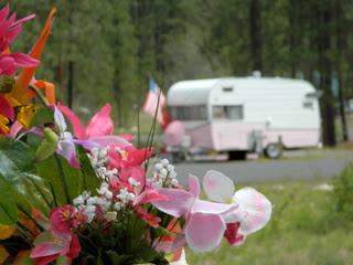 DSCN3581.jpg