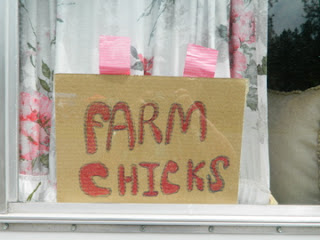 DSCN3591.jpg