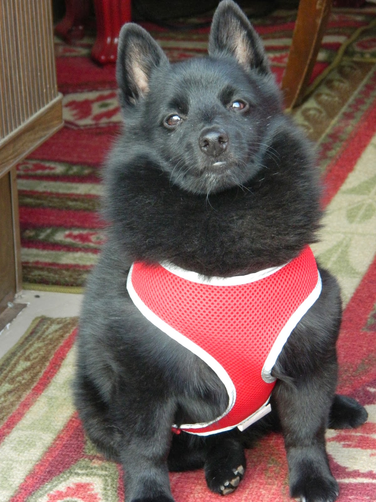 DSCN4571.JPG