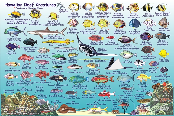 HawaiianIslandsFishCard2007SideTwo2.jpg