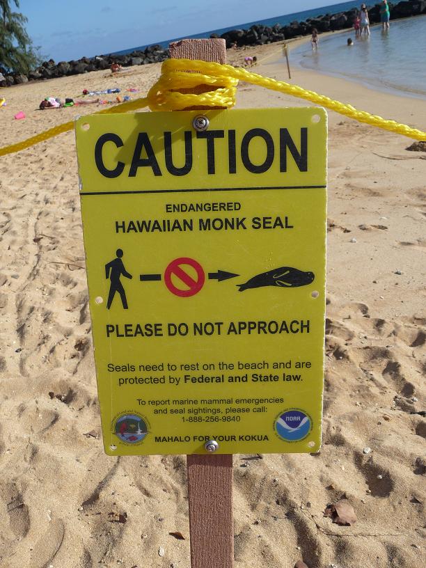 HawaiianMonkSealSign.JPG