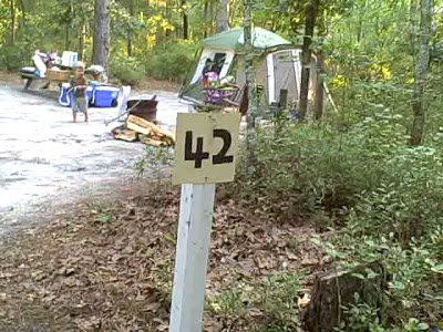 lot42.jpg